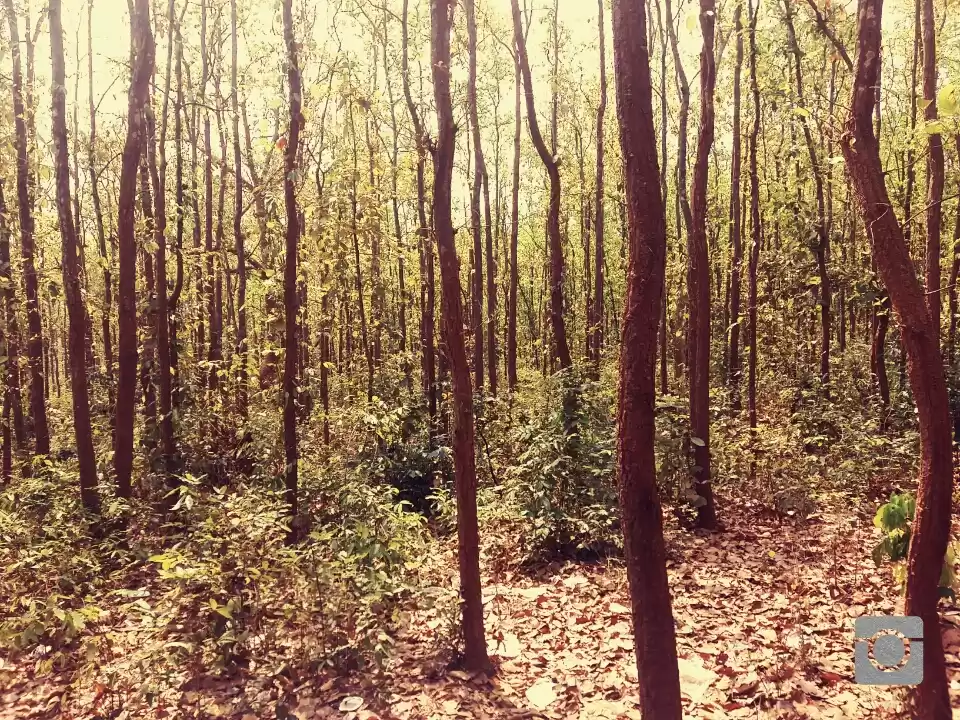 Photo of Trip To Khordha, Nay