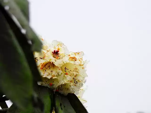 Photo of Wandering between Ne