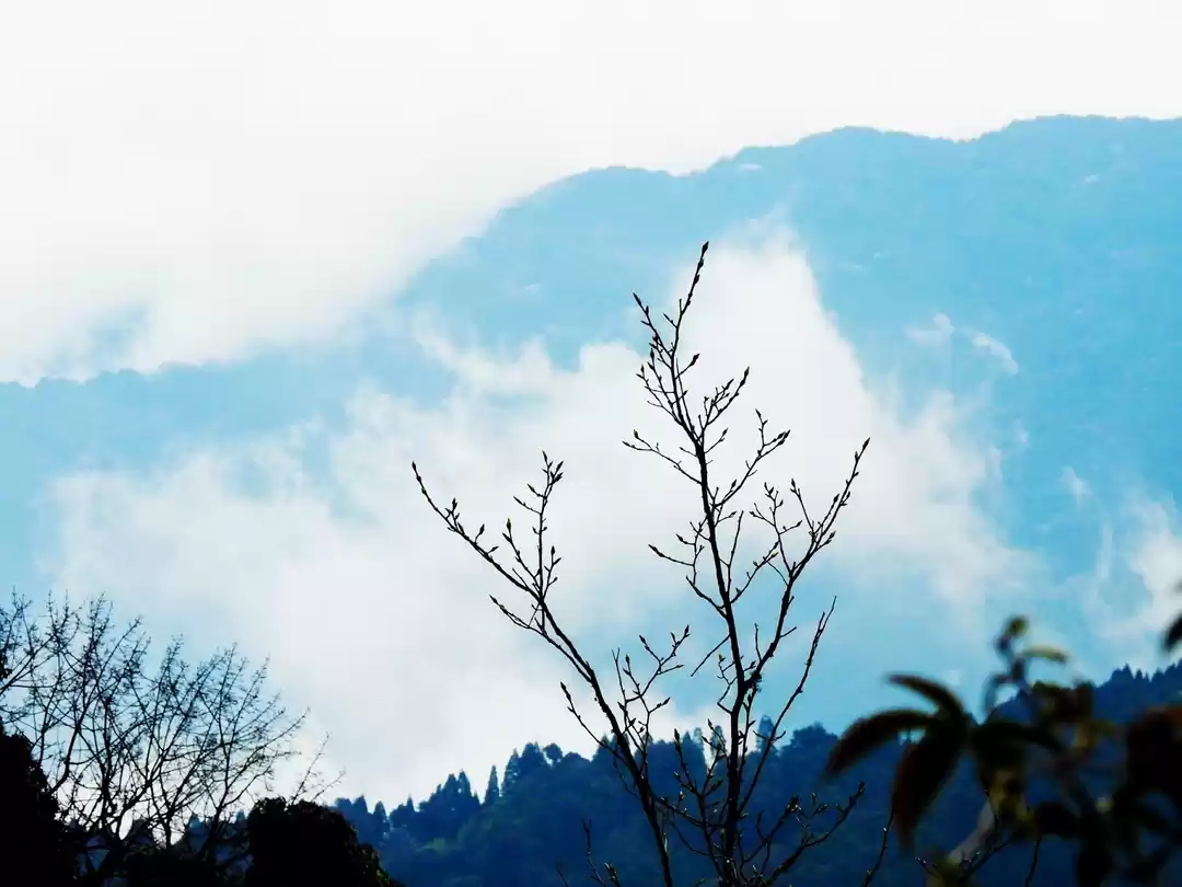 Photo of From Lake to Mountai