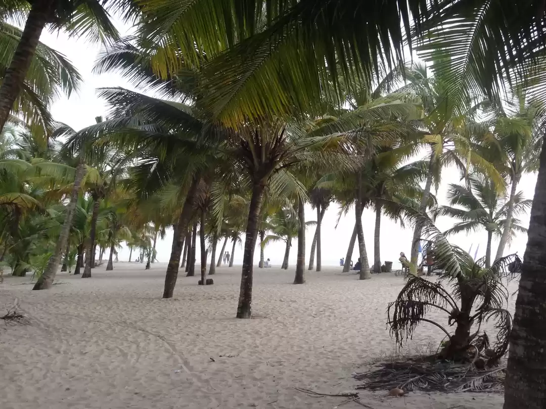 Photo of Ethereal Kerala- Bac