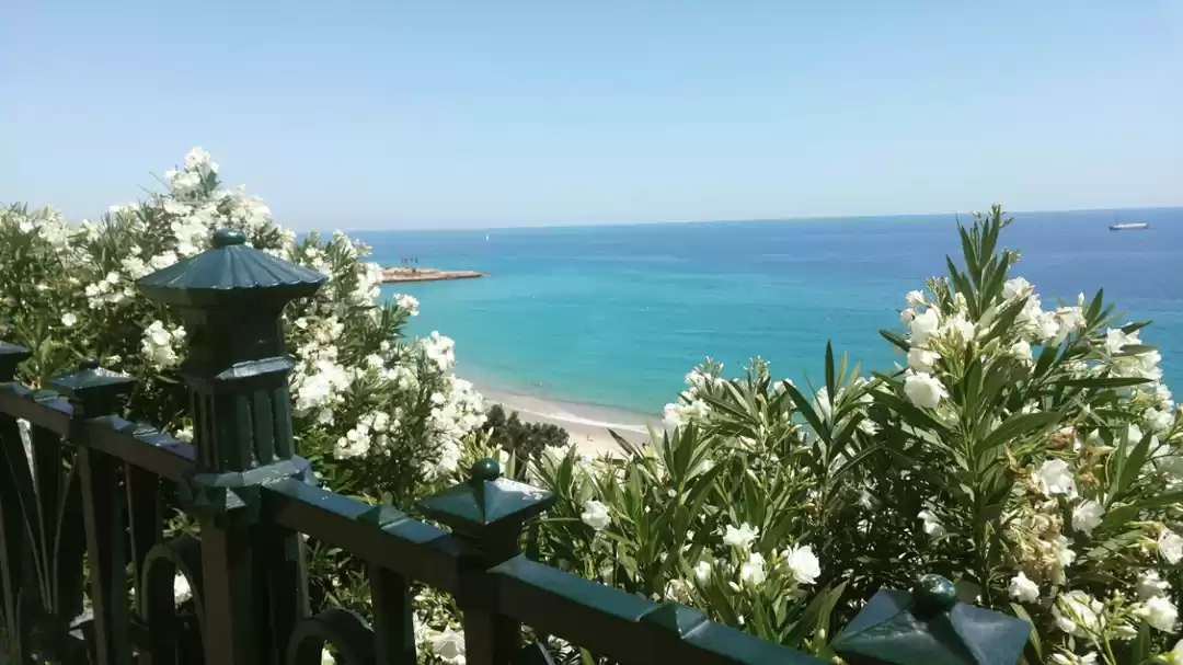 Photo of Oh My Tarragona !
