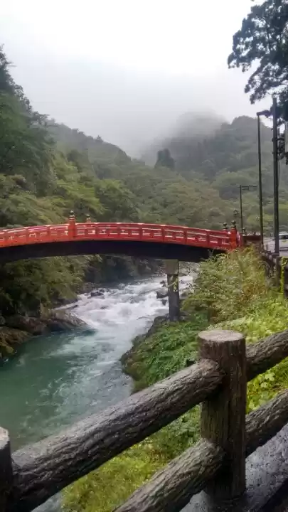 Photo of Nikko:World of Shrin