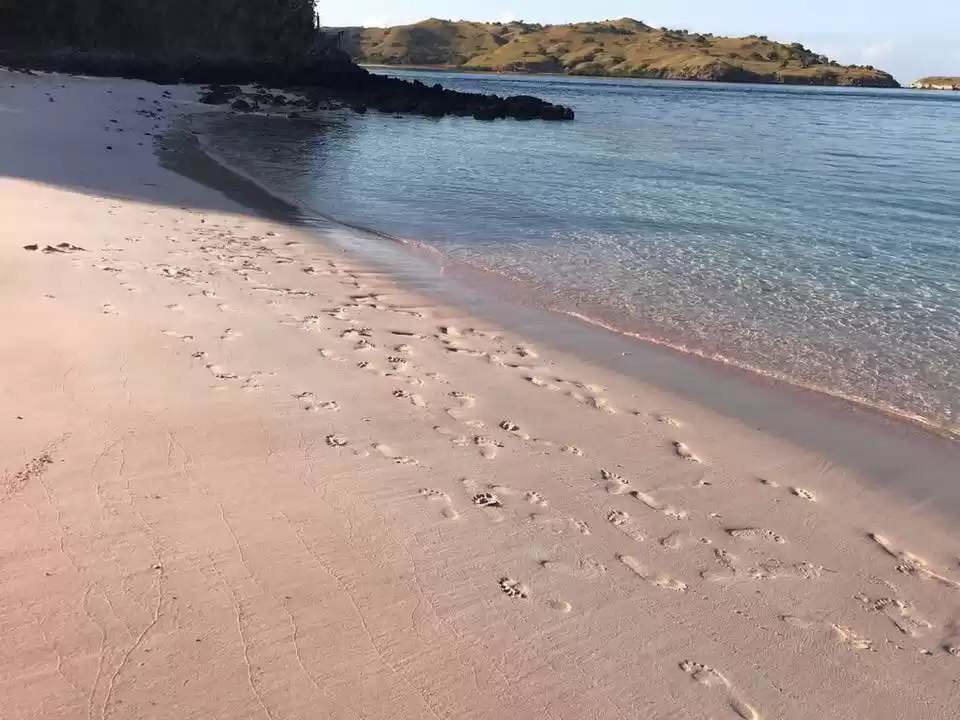 Photo of Komodo Island: Stay 