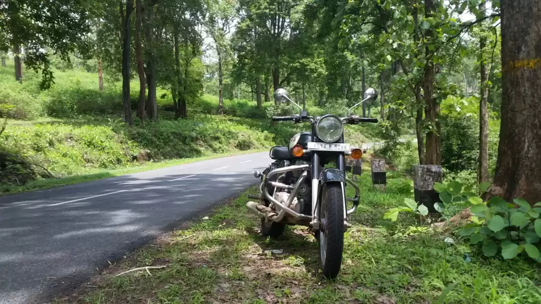 Photo of The Road Trip