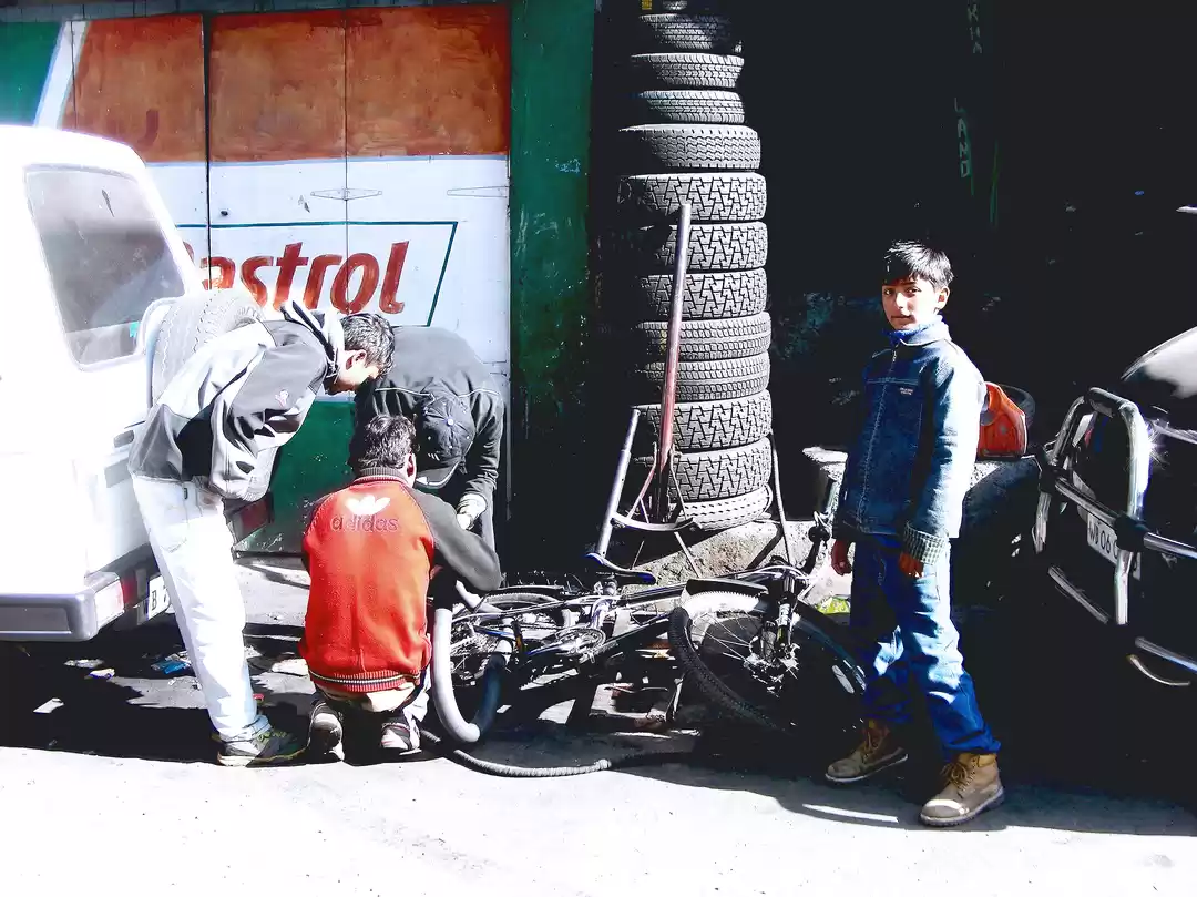 Photo of Bicycle Diaries (Par