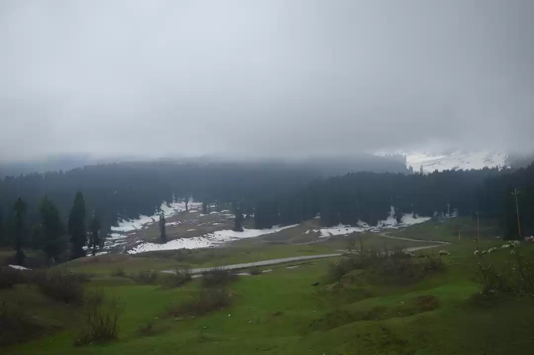 Photo of Doodhpatri - A Heave