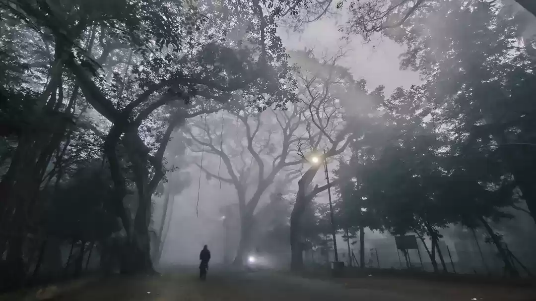 Photo of Winter in Santiniket