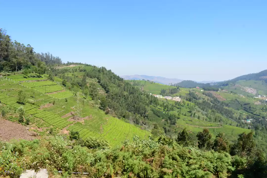 Photo of Our Coonoor Trip, A 