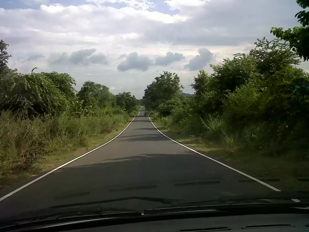 Photo of Palamu Tiger Reserve