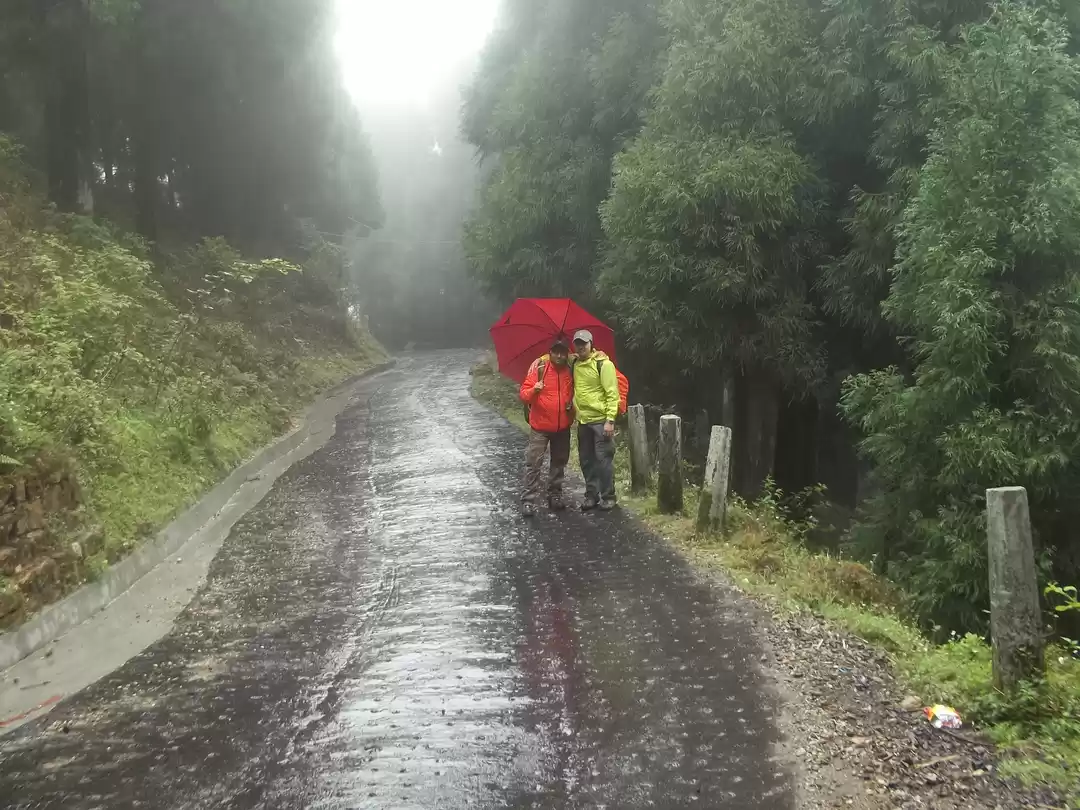 Photo of Sandakphu Trek.. Raw
