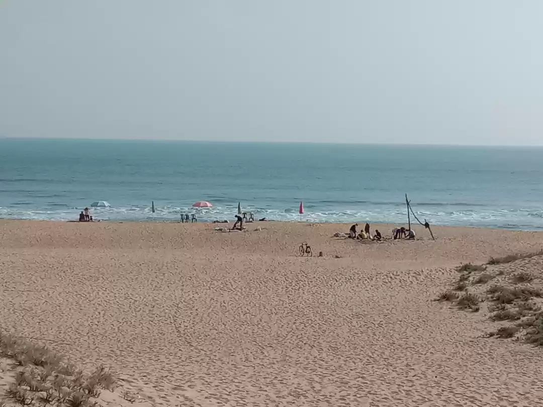 Photo of Rajhans Nature Camp 