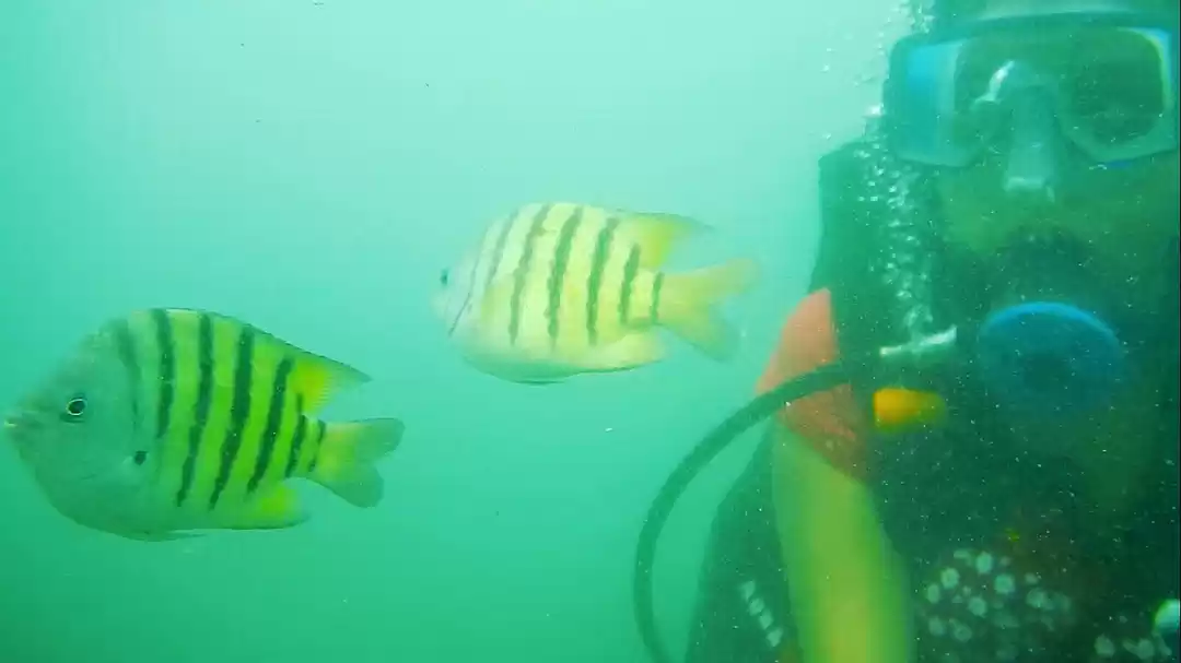 Photo of A Road Trip to Konka