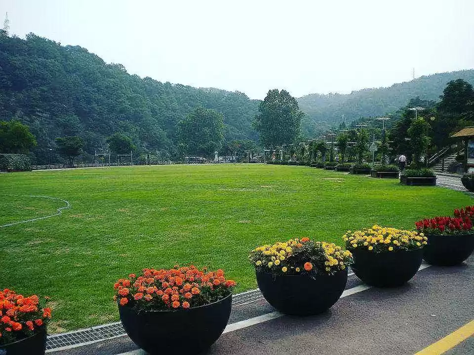 Photo of Why is South Korea c