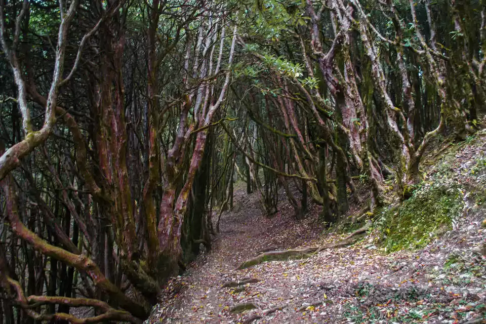 Photo of 6 Exhilarating And S