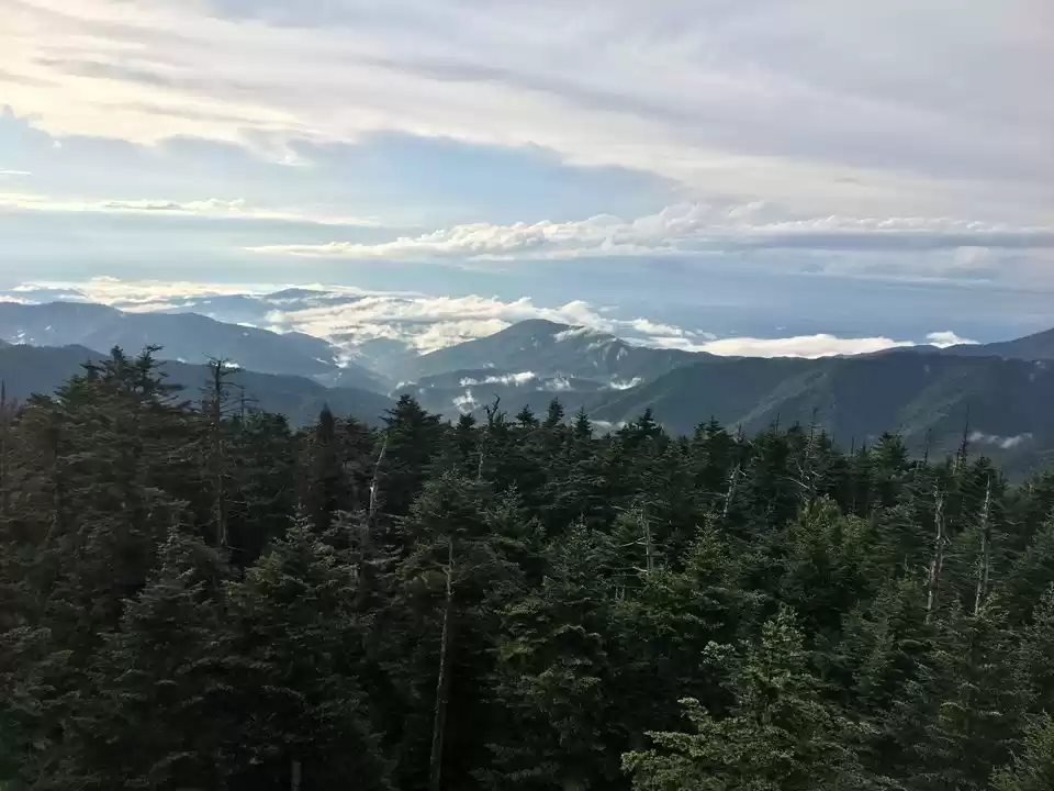 Photo of Clingmans Dome: Visi