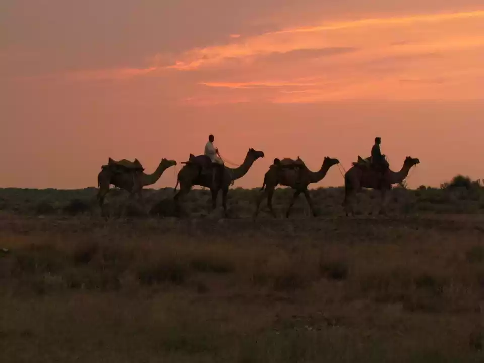 Photo of Desert Songs at ultr