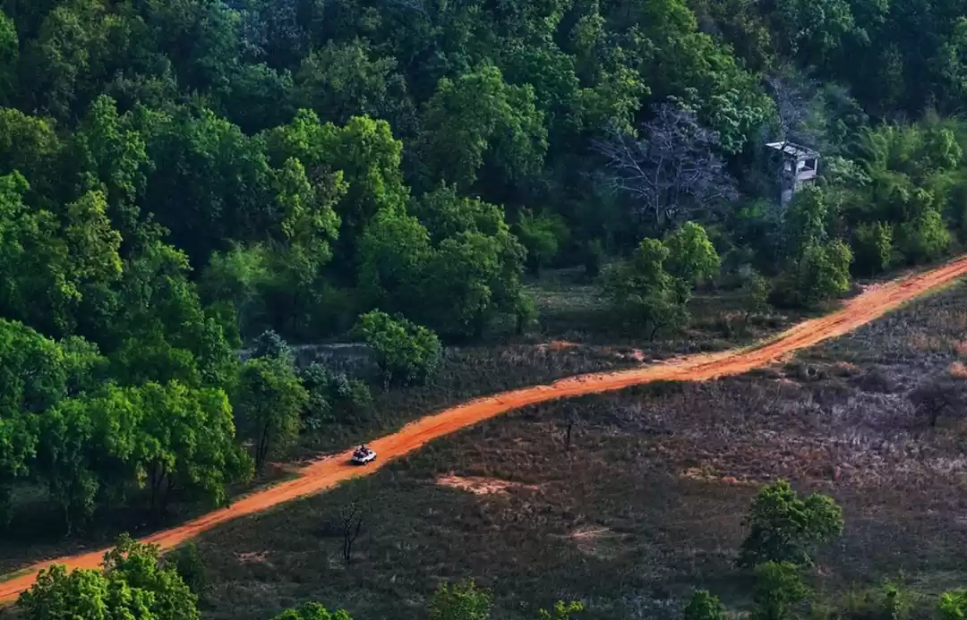 Photo of 3 Forest Getaways In