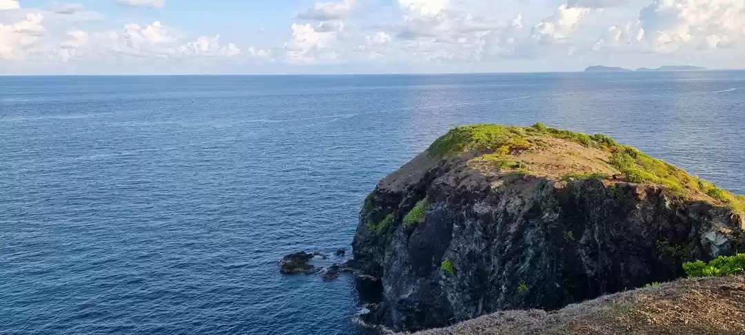 Photo of A brief guide on vis