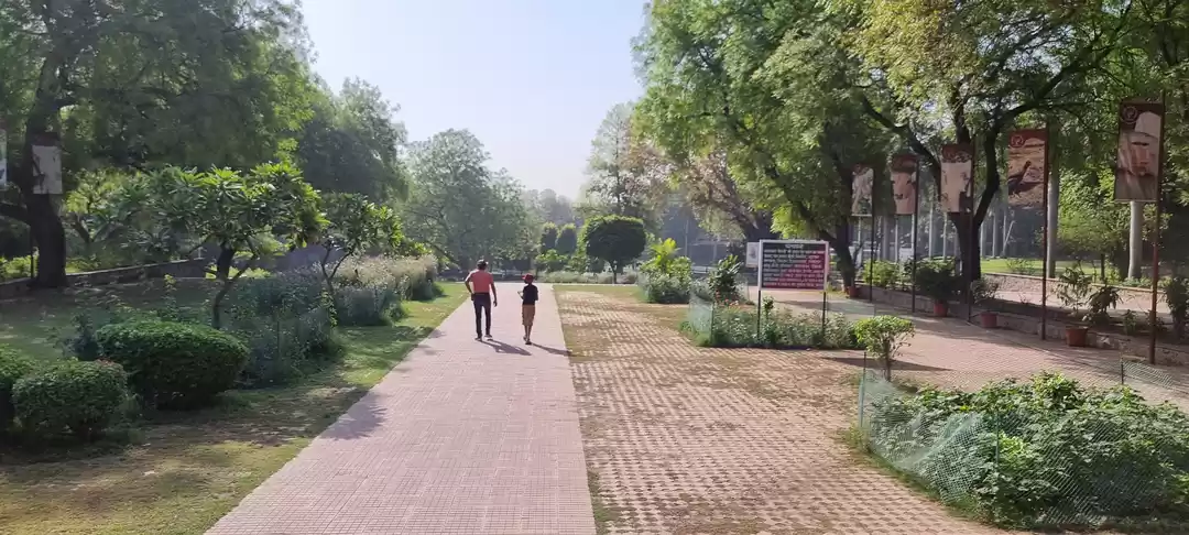 Photo of A guide to Delhi Zoo