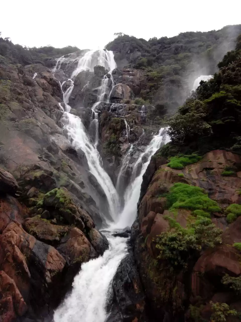 Photo of Trek to Dudhsagar