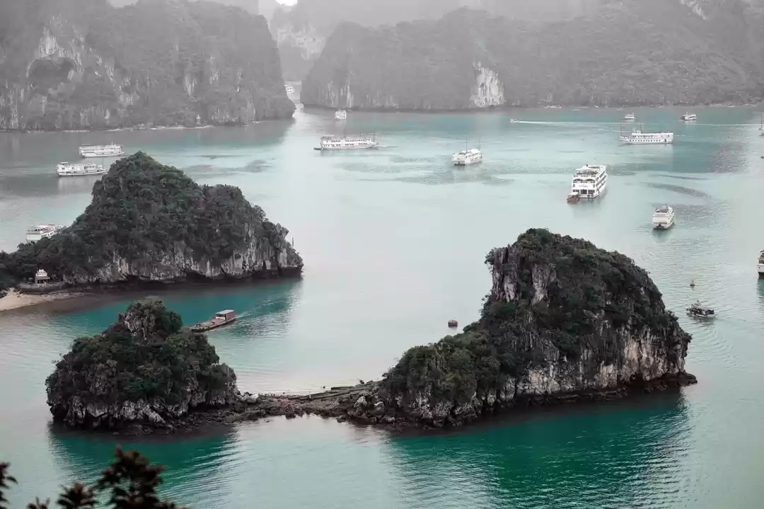 Photo of Cruise along Ha Long