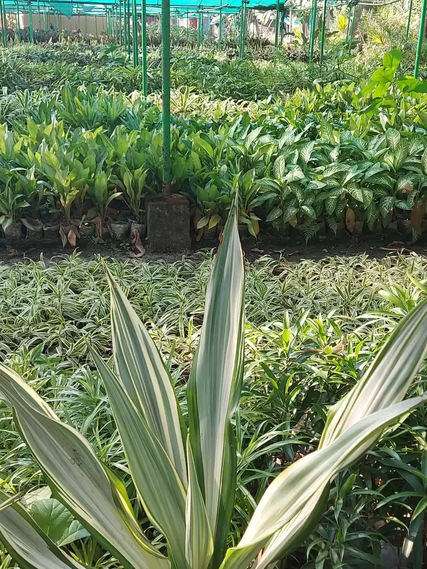 Photo of Visit to Bawali Farm