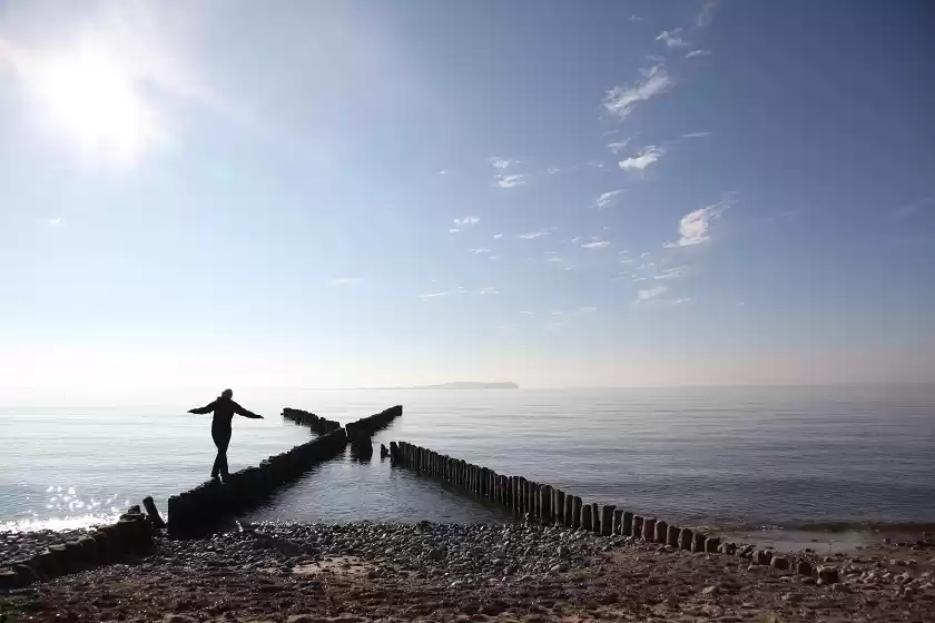 Photo of Ride A Steam Train T