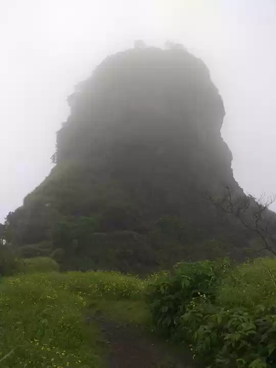 Photo of Mesmerizing karnala.