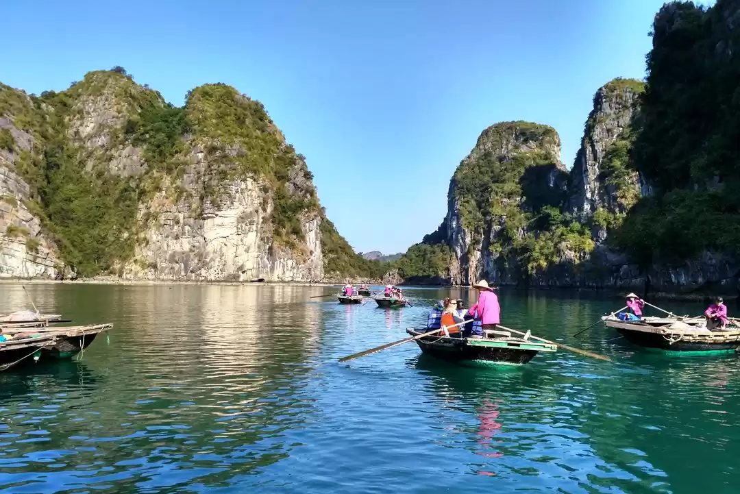 Photo of Vive la Vietnam! 