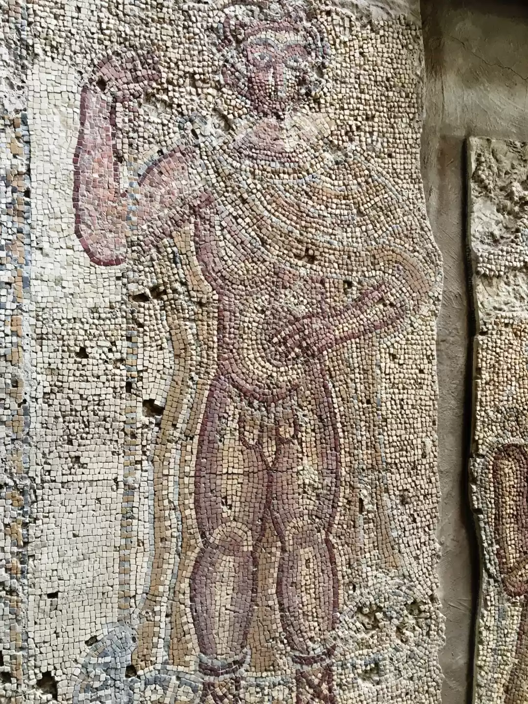 Photo of Jordan - from Dead S