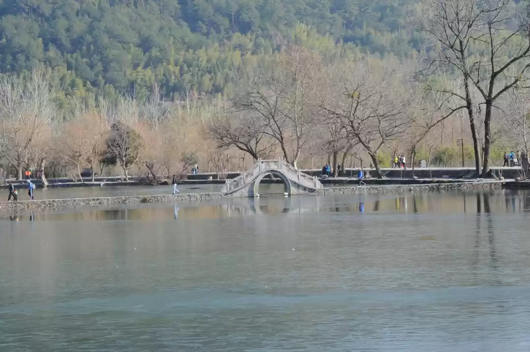 Photo of Huangshan & Beyond: 