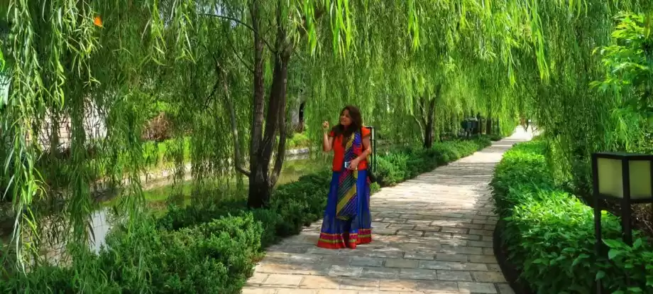 Photo of An Unmissable Experi