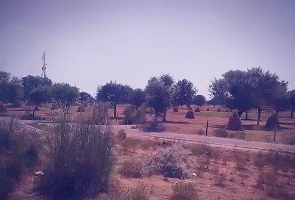 Photo of Journey to Holy Push