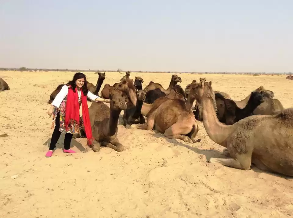 Photo of Spellbound memories 