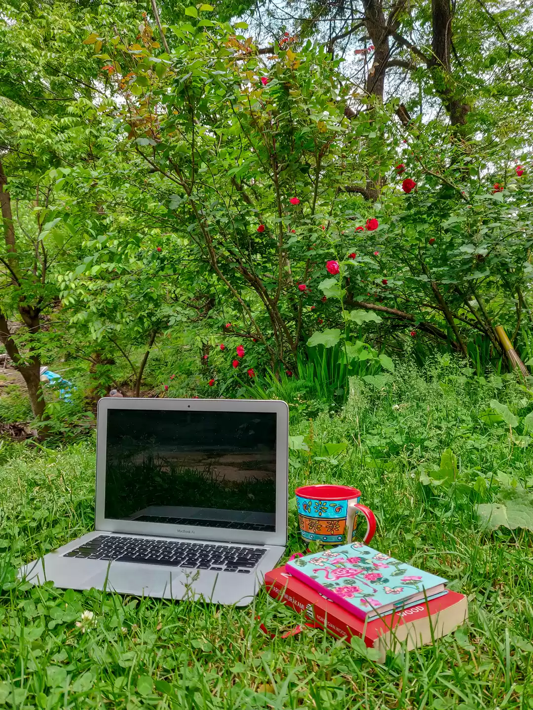 Photo of Moving to the Mounta