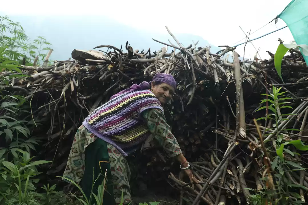 Photo of If You've Always Won