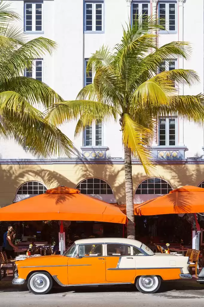 Photo of The New Miami: Walk,