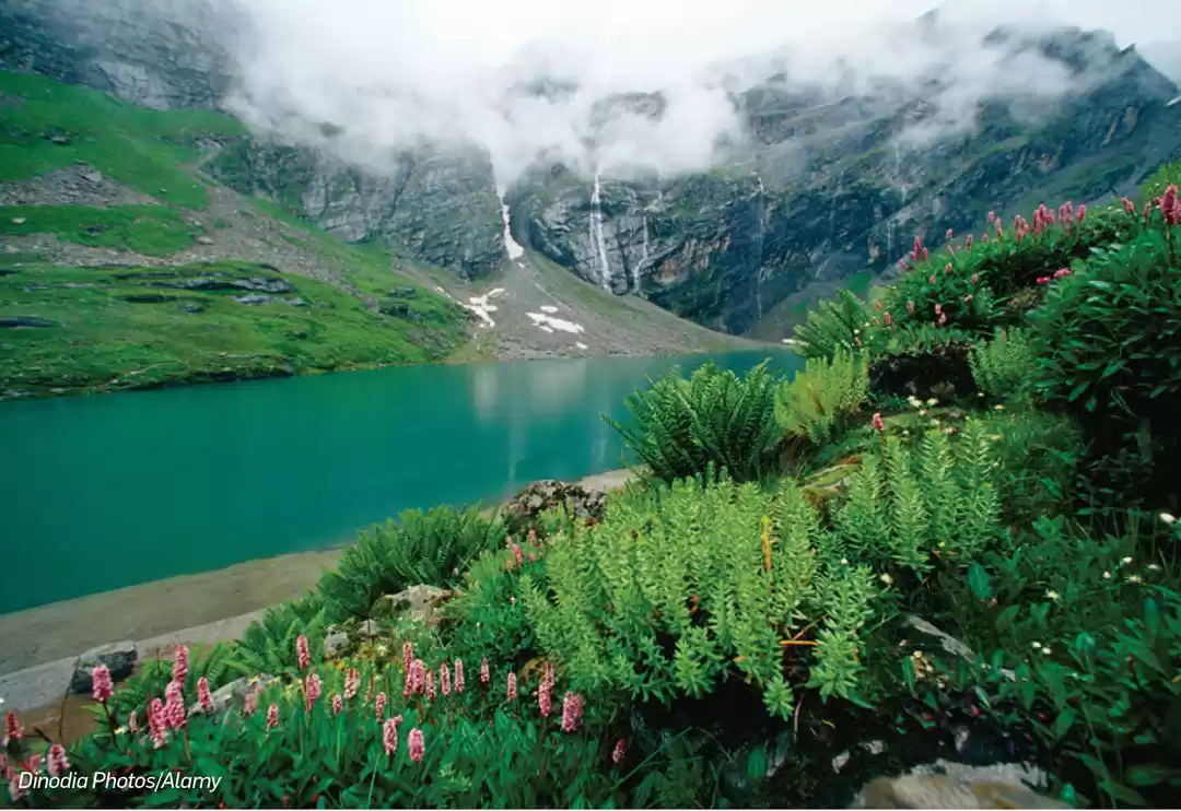 Photo of Hidden Gems In The H