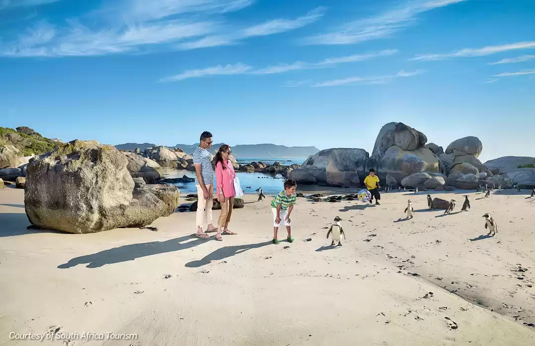 Photo of Bigger The Better: T