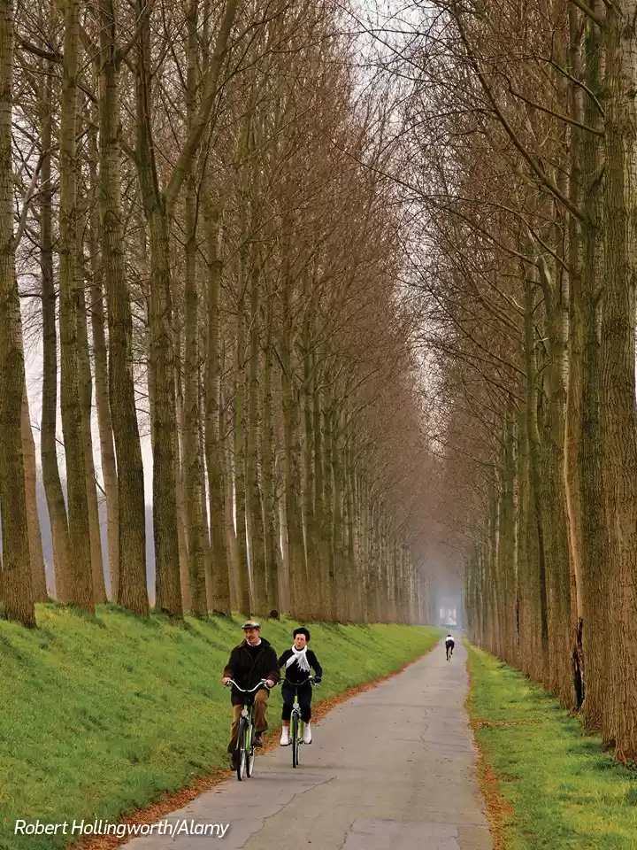 Photo of Cycle Your Way Throu