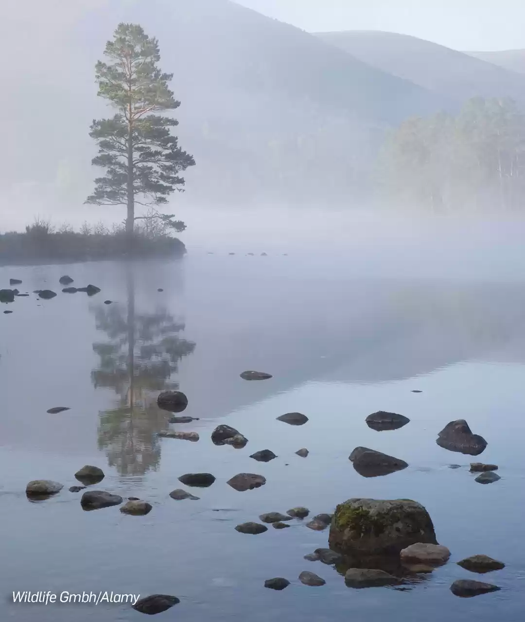 Photo of For A Few Days Of Ab