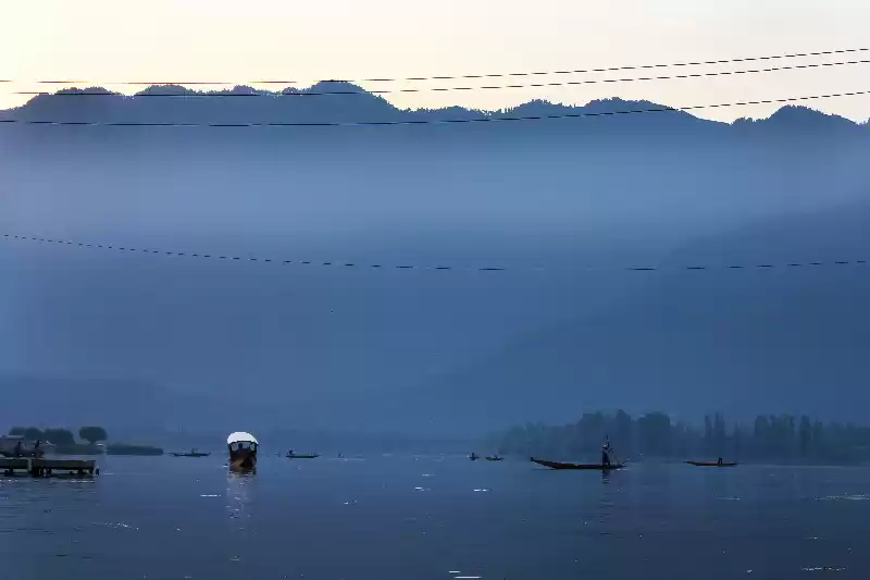 Photo of Not Just Any Other L