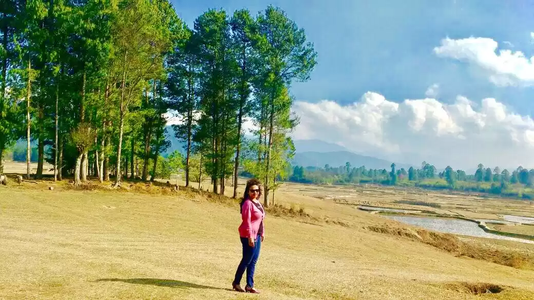 Photo of Exploring Ziro Valle