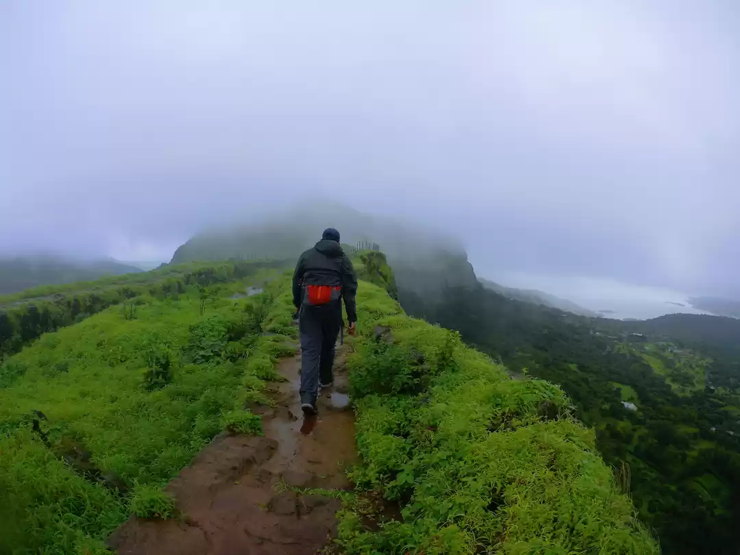 Photo of Bhaja Caves, Visapur