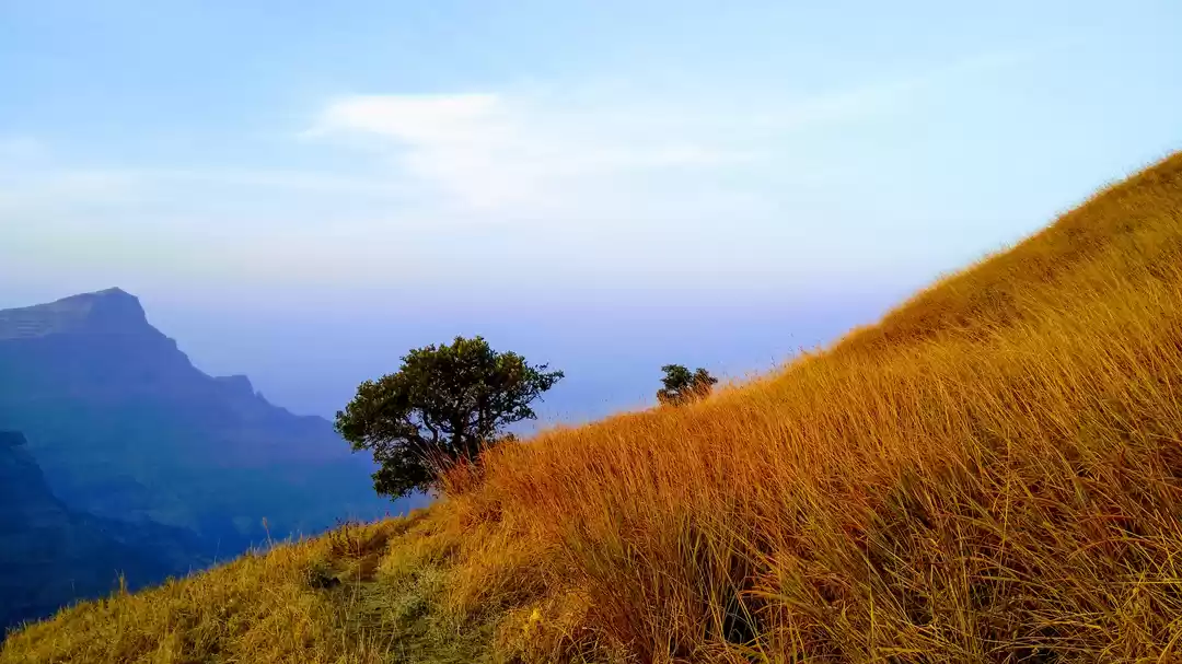 Photo of Ratangad Fort trekki