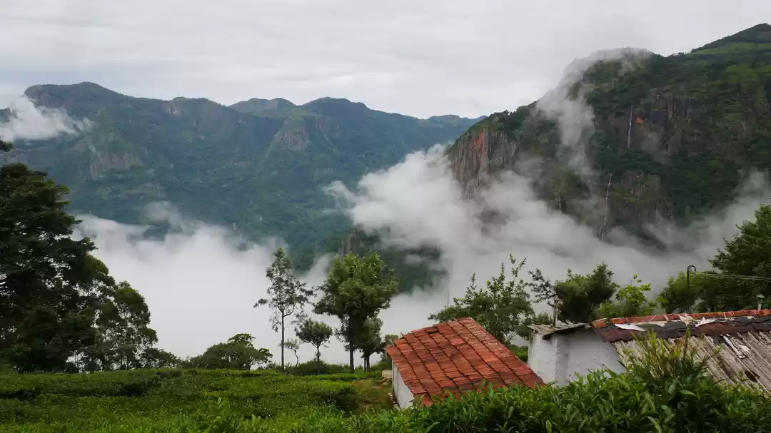 Photo of Nilagiri is Opened f