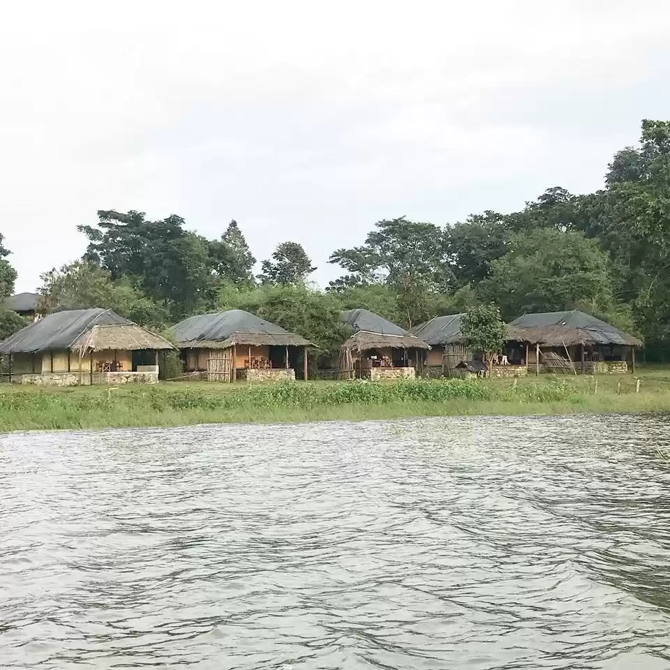 Photo of The Bison Kabini - S