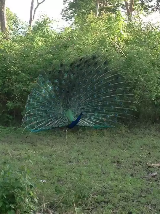 Photo of Road Trip - Bangalor