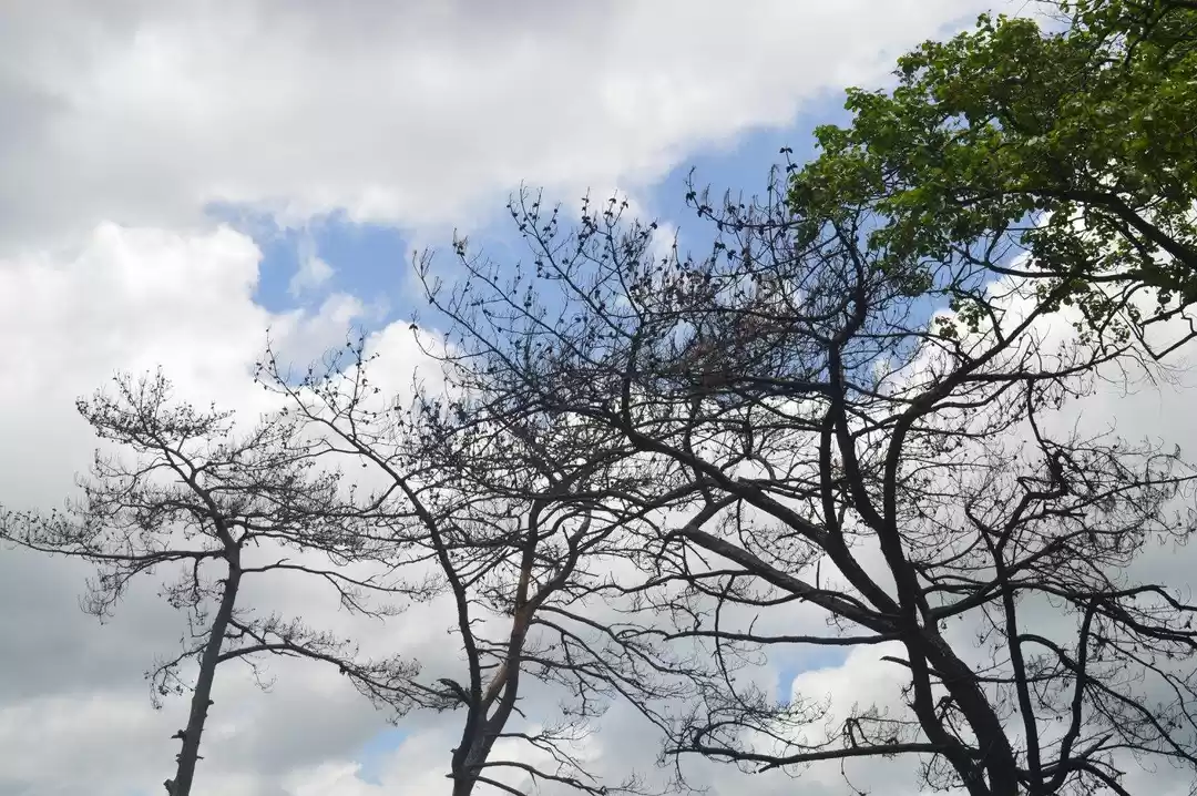 Photo of Meghalaya - truly in