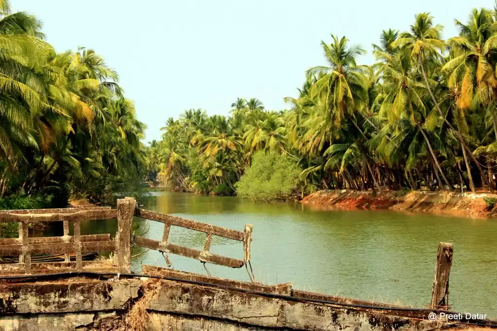 Photo of Man Made And Natural